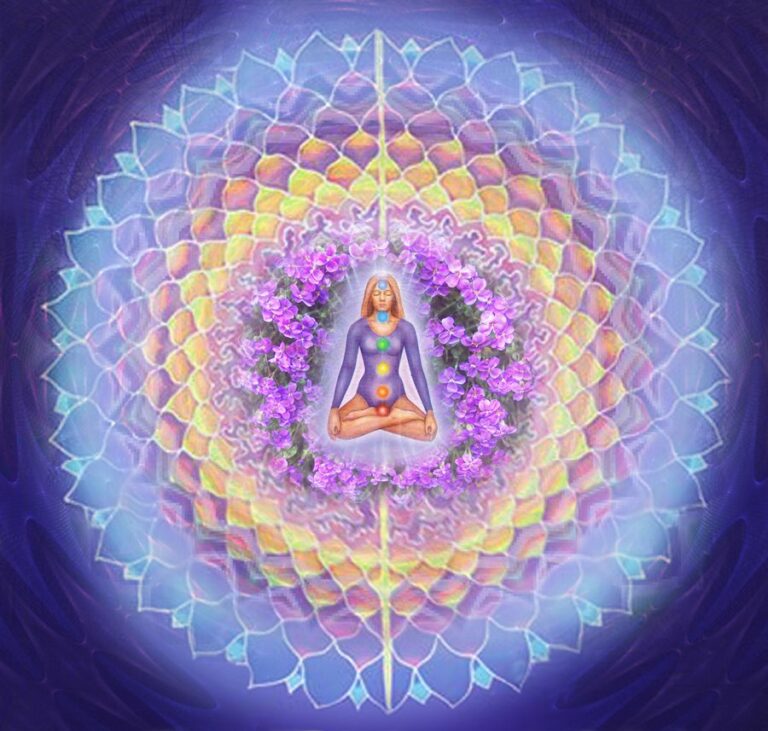 chakras in lotus