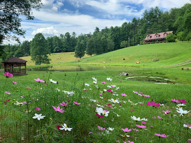 Rejuvenate Your Mind and Spirit: Why You Should Attend a Meditation Retreat