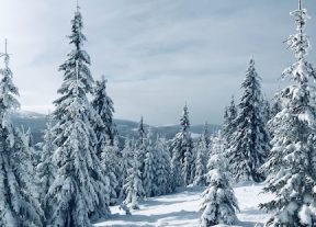Ayurvedic Tips for Winter2