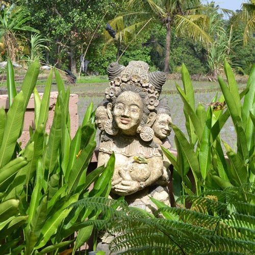 Bali Yoga & Meditation Retreat