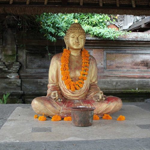 Bali Yoga & Meditation Retreat